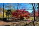 Landscaped backyard with a red Japanese Maple tree and playhouse overlooking a pond at 3104 Sandy Knoll Ln, Knightdale, NC 27545