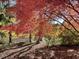 Backyard featuring a body of water, trees, and seating at 3104 Sandy Knoll Ln, Knightdale, NC 27545