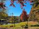 Picturesque pond and bridge view surrounded by foliage at 3104 Sandy Knoll Ln, Knightdale, NC 27545