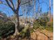 A property featuring a lush backyard with mature trees at 3501 Turnbridge Dr, Raleigh, NC 27609