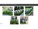 Pictures of landscaping with hydrangeas and window boxes on front of house at 4305 Windsor Pl, Raleigh, NC 27609