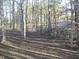 View of a wooded yard with mature trees at 105 Lake Rd, Henderson, NC 27537