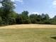 Newly sodded backyard offers ample space and blends well with the surrounding trees at 63 Lynn Crest Way, Four Oaks, NC 27524