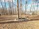 View of wooded backyard with mature trees and bird bath landscaping at 2024 Fox Den, Clayton, NC 27527