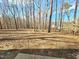 View of wooded backyard with mature trees at 2024 Fox Den, Clayton, NC 27527