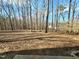View of wooded backyard with mature trees at 2024 Fox Den, Clayton, NC 27527
