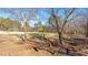 Scenic view of golf course with mature trees and blue sky at 2933 Elmfield St, Raleigh, NC 27614