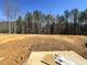 A view of the land lot for the future home, including a forested perimeter at 249 Beacon Dr, Pittsboro, NC 27312