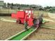 Kid playing mini golf at a red train themed course at 1021 Prominence Dr., Homesite 20, Durham, NC 27712