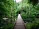 Scenic swinging bridge surrounded by lush forest, providing a serene nature walk experience at 1021 Prominence Dr., Homesite 20, Durham, NC 27712