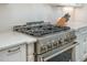 Professional grade gas range stove with white countertops and cabinets at 175 Stonecrest Way, Pittsboro, NC 27312