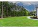Expansive backyard with lush green lawn and surrounding trees, offering privacy and space for outdoor activities at 3909 Cedar Knolls Dr # 6, Youngsville, NC 27596