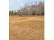 Sprawling pasture with grazing animals, showcasing the property's potential for agricultural use at 6001 Rock Bottom Rd, Oxford, NC 27565