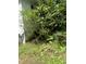 A view of the side of the home and the yard covered with lush greenery and a large bush at 652 Old Sanford Rd, Moncure, NC 27559