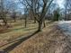 A park-like front yard shaded by mature trees with an empty walking path through the grass and fallen leaves at 201 W Park Dr, Raleigh, NC 27605