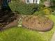 Beautiful landscaping with greenery, mulch, and grass at 201 W Park Dr, Raleigh, NC 27605