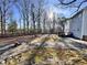 View of the spacious backyard featuring a brick patio and surrounded by trees at 4904 Goosedown Ct, Raleigh, NC 27604