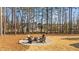 Relaxing fire pit area with seating nestled among tall pine trees, creating a tranquil outdoor space at 1328 Wakefield Farm Rd, Zebulon, NC 27597
