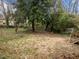 Natural backyard with a large tree offers shade and a touch of nature at 2908 Woods Pl, Raleigh, NC 27607