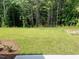 Back yard features a grassy lawn and backs up to a dense tree line at 3019 Vitner Dr, Durham, NC 27704