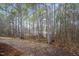 Backyard with lots of trees and space at 453 Deer Vw, Sanford, NC 27332