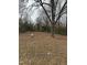 Large lot with mature trees and room for building or recreation surrounded by a wooded area at 728 East Ave, Henderson, NC 27536