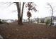Spacious backyard area, perfect for outdoor activities and enjoying nature at 106 Cottage Way # 33, Pittsboro, NC 27312