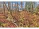 Picture of the backyard in a wooded area with a creek in the background at 118 Gracie Ln, Clayton, NC 27520