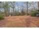 Large backyard with a gentle slope, mature trees, and ground cover at 2005 Sutphin Dr, Sanford, NC 27330