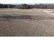 Large lot with mature trees and open space at 2113 Nc 55, Coats, NC 27521