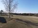 Picturesque landscape, showcasing a vast open space and a towering tree that gives shade at 2113 Nc 55, Coats, NC 27521