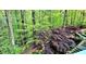 A scenic backyard with a beautiful Japanese maple tree and stone stair access at 216 Copper Beech Ct, Chapel Hill, NC 27517