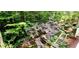 Beautiful landscaped backyard with a stone stair access to the lawn at 216 Copper Beech Ct, Chapel Hill, NC 27517
