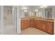 Bathroom featuring and granite-topped sinks, beautiful wood cabinets and walk-in closet at 216 Copper Beech Ct, Chapel Hill, NC 27517