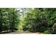 An extended driveway welcomes you to the property, surrounded by lush trees and foliage at 216 Copper Beech Ct, Chapel Hill, NC 27517