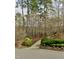 Long driveway surrounded by mature trees and shrubbery with the road at the base of the drive at 216 Copper Beech Ct, Chapel Hill, NC 27517