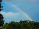 Vibrant rainbow arches across a bright blue sky, adding color above lush green trees at 28 W Madison, Pittsboro, NC 27312