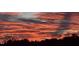 Vibrant orange sunset fills the sky, creating a picturesque backdrop for the silhouette of trees at 28 W Madison, Pittsboro, NC 27312