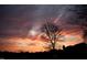 Dramatic sunset painting the sky with vibrant orange and pink hues, silhouetting a tree and neighborhood homes at 28 W Madison, Pittsboro, NC 27312