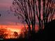 Fiery sunset illuminates the sky behind silhouetted trees, evoking a sense of peaceful beauty at 28 W Madison, Pittsboro, NC 27312