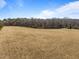 A large, open field with a tree line, under a clear, blue sky at 4051 Silk Hope Gum Springs Rd, Pittsboro, NC 27312