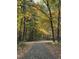 Scenic view of leaf-strewn path through trees with beautiful autumn foliage at 4051 Silk Hope Gum Springs Rd, Pittsboro, NC 27312