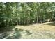 Expansive backyard with mature trees and lush greenery, offering a private and serene outdoor space at 407 Crickentree Dr, Cary, NC 27518