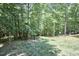 Large wooded backyard, perfect for outdoor activities at 407 Crickentree Dr, Cary, NC 27518