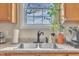 Close-up of kitchen sink and window, with natural light and a plant at 505 Wild Goose Ln, Creedmoor, NC 27522
