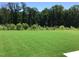 Large, well-maintained lawn with mature trees offering shade and privacy, ideal for recreation at 1404 Malcus Ct # 56, Fuquay Varina, NC 27526