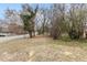 Overgrown yard filled with lots of trees at 318 Fulton St, Burlington, NC 27217