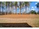 Spacious backyard featuring mature trees, perfect for outdoor recreation and relaxation at 67 Rice Road # 01, Zebulon, NC 27597