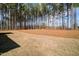 Expansive backyard with mature trees, offering plenty of space and privacy for outdoor enjoyment at 67 Rice Road # 01, Zebulon, NC 27597