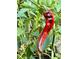 Close-up of a vibrant red pepper hanging from its plant in the garden with green leaves at 1005 W Club Blvd, Durham, NC 27701
